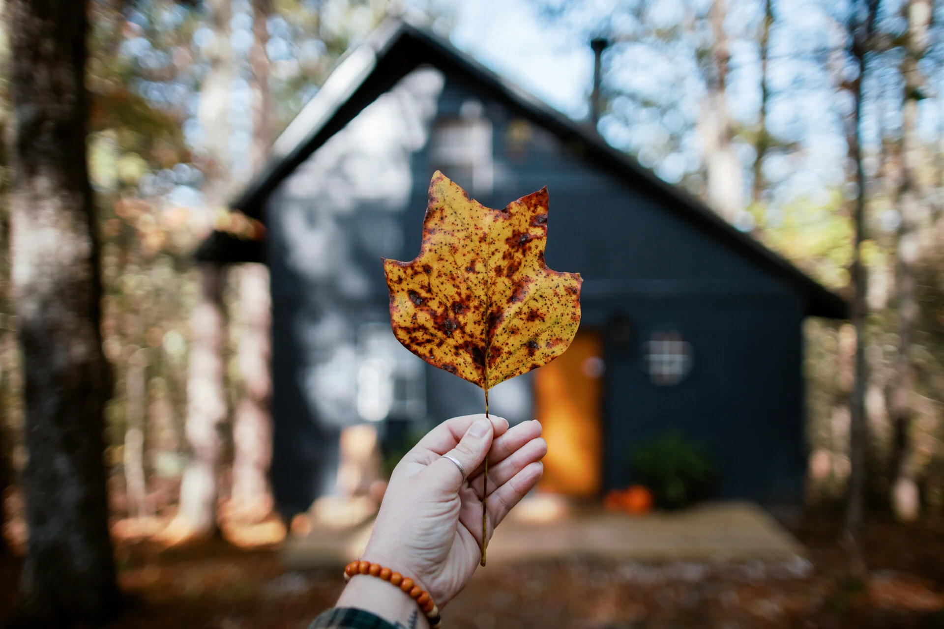 Tiny Mountain Cabin